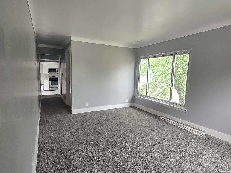MI Real Estate Management LLC - #37 1/2 — Photo 8