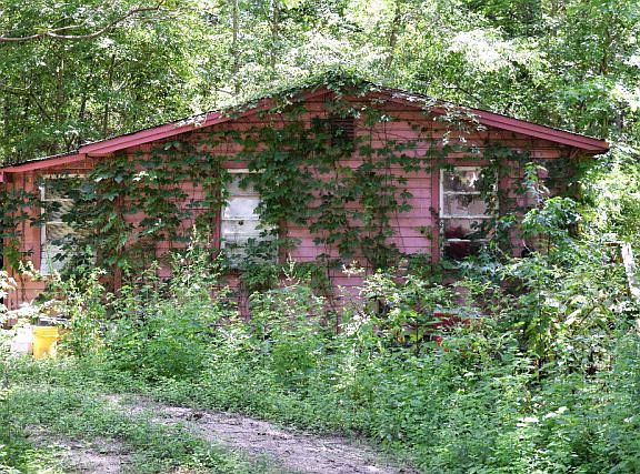 3rd image of 5 Three Lakes Dr