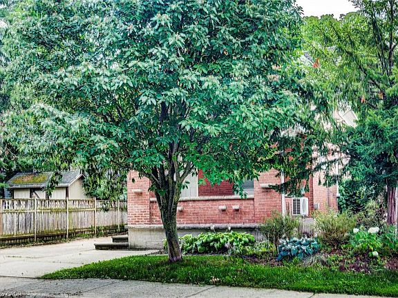 5th image of 81 Willow St