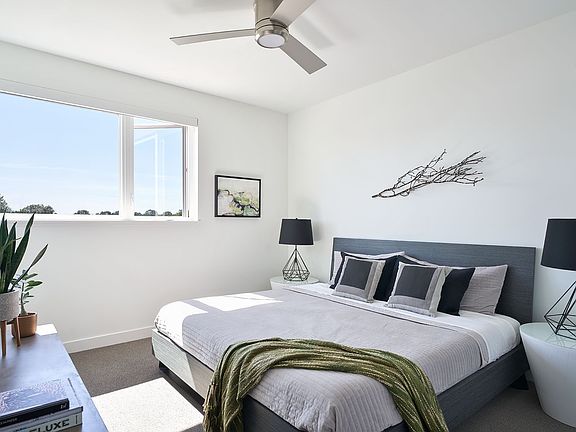 Spacious and Bright Master bedroom in 2C Floor Plan
