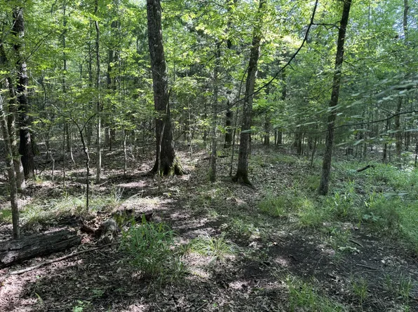 0 County Road 45600, Blossom, TX 75416