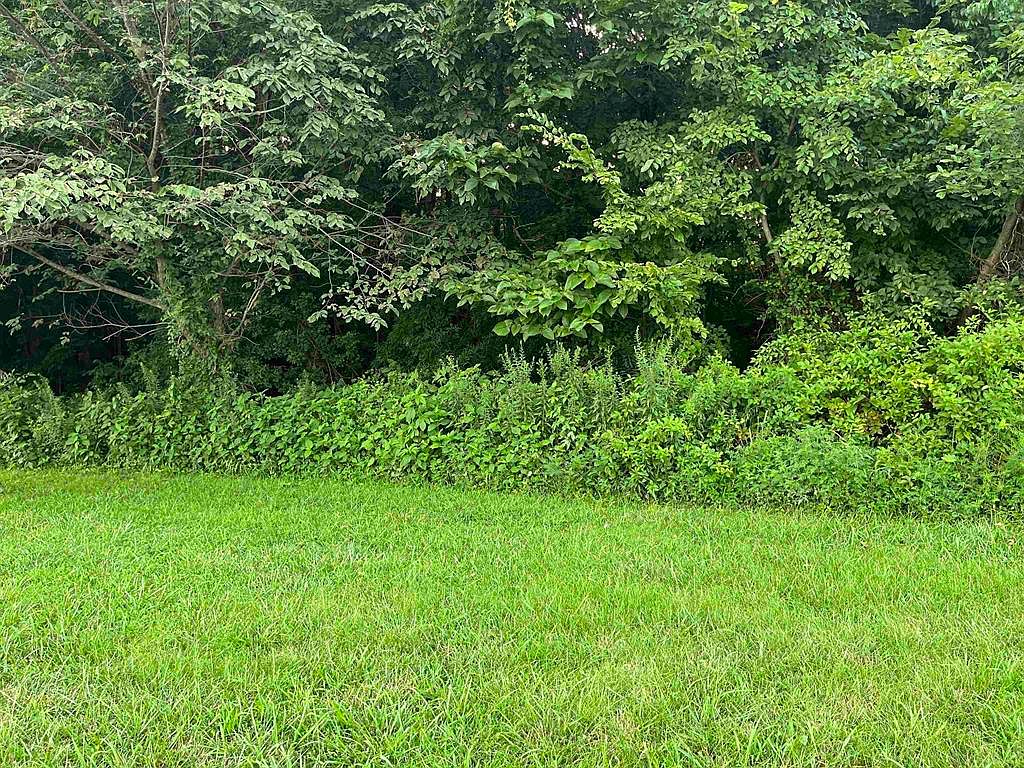 0 State Highway 1080, Calhoun, KY 42327 Zillow