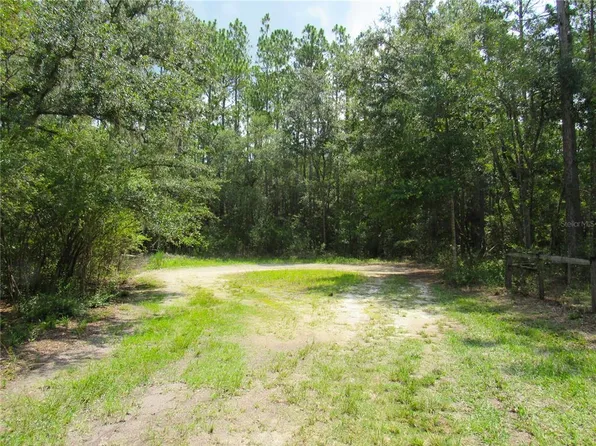 0 SE 73rd Pl #1, Morriston, FL 32668