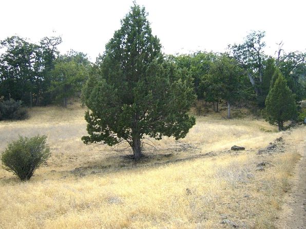 Quase Drive Steelhead Cir, Hornbrook, CA 96044