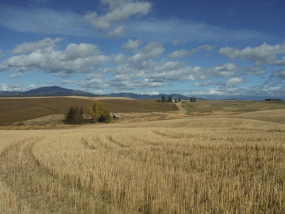 1st image of E B St