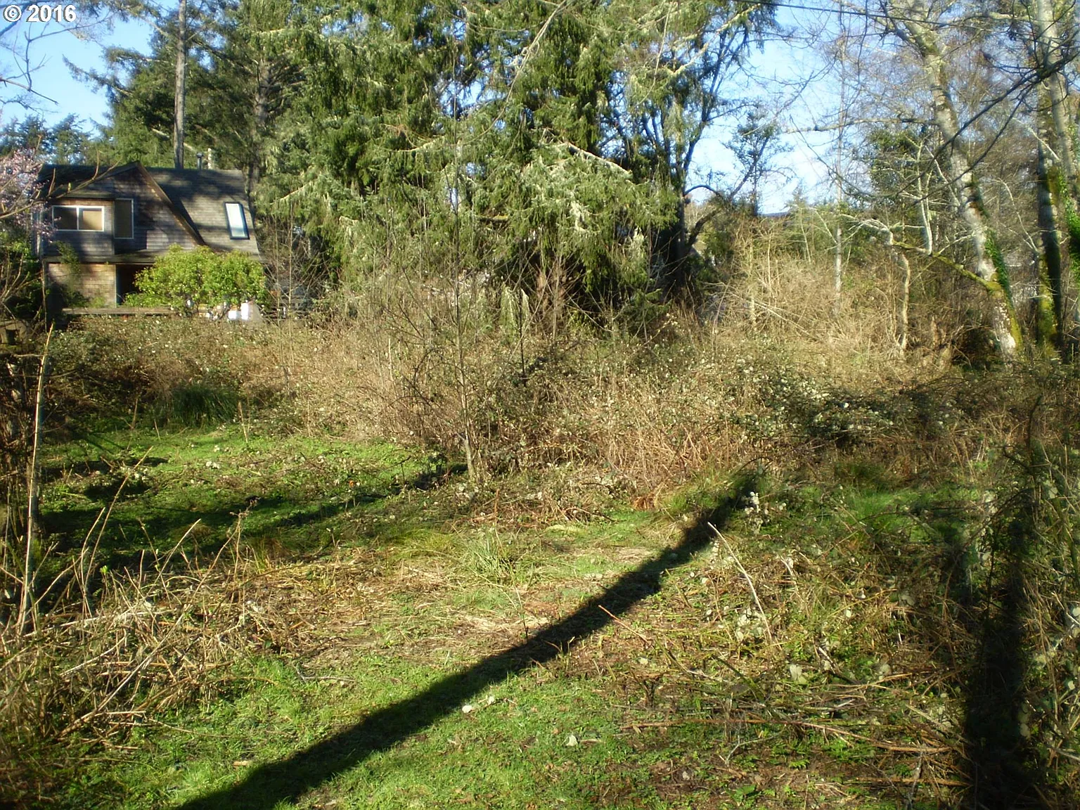 Ecola Park Rd photo 1