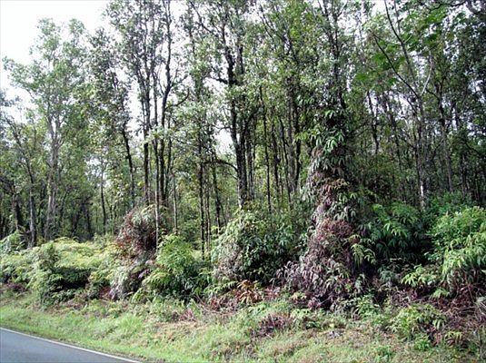 1st image of Road 9 Koloa Maoli Lot 5422