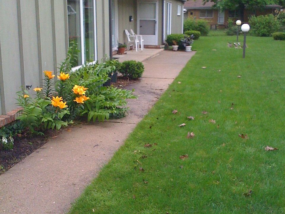 Front view and lawn