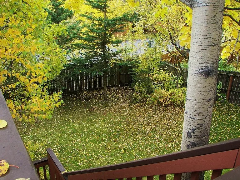 Private Fenced Backyard