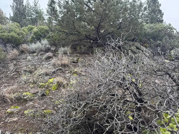 Unit Condor #4-lot 405, Weed, CA 96094