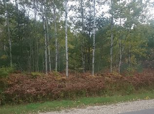 Wildwood Dr, Elmira, MI 49730