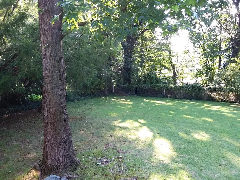 Knollwood Dr — Photo 26