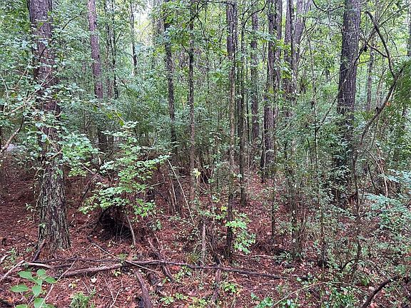 4th image of Tbd Battle Rd