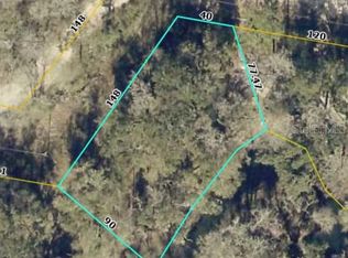 TBD2 SW 129TH BOULEVARD LOT 94, WEBSTER, FL 33597