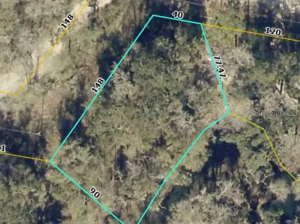 TBD2 SW 129TH BOULEVARD, WEBSTER, FL 33597
