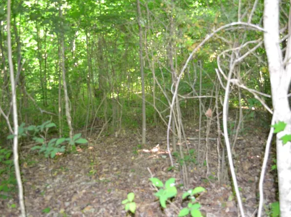 5AC Dynamite Ln, Livingston, TN 38570