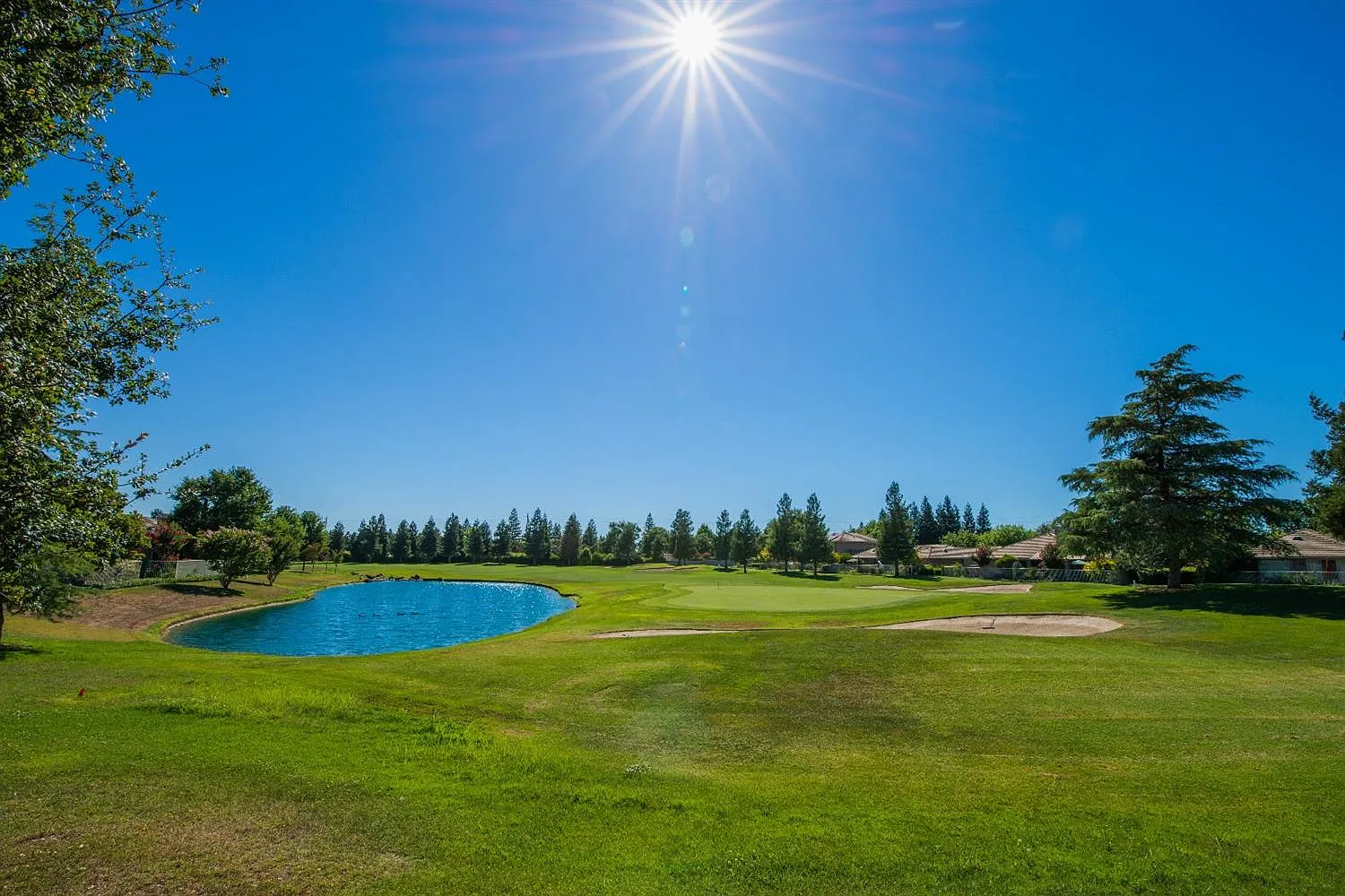 9532 Golf Course Ln photo 1