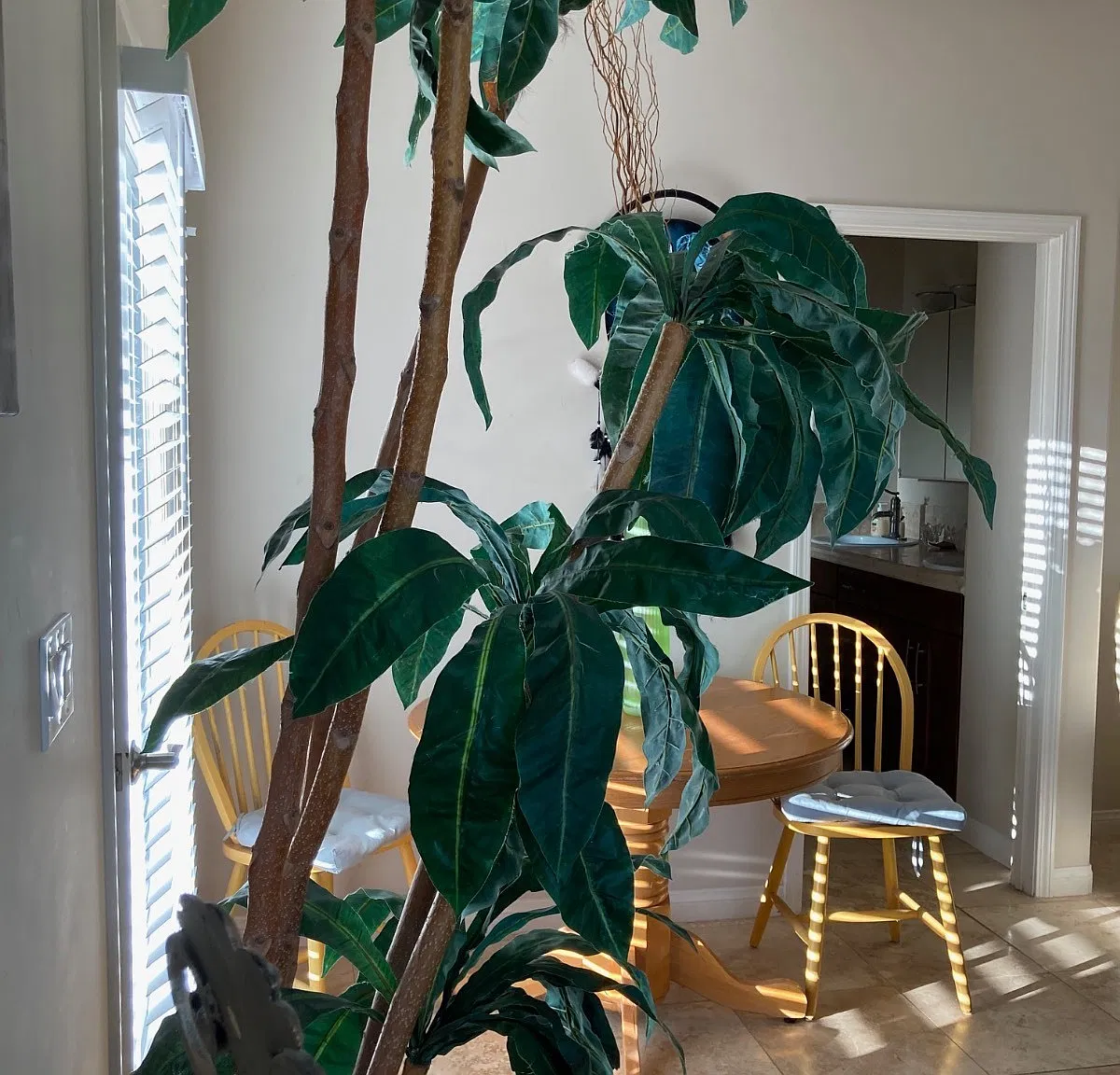 1 bed, 1.0 bath, 324 sqft, $1,150 — Photo 4