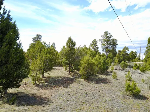 3326 Bear Hts, Heber, AZ 85928