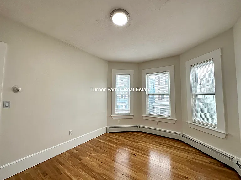11 Elder St — Photo 17