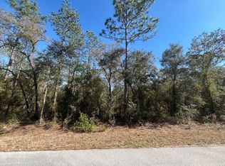 SW Big Tree Rd, Dunnellon, FL 34431
