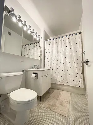 Rented by NY Living Solutions | media 5