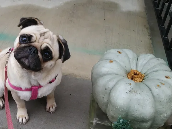 7000 Blvd East image 41 of 41