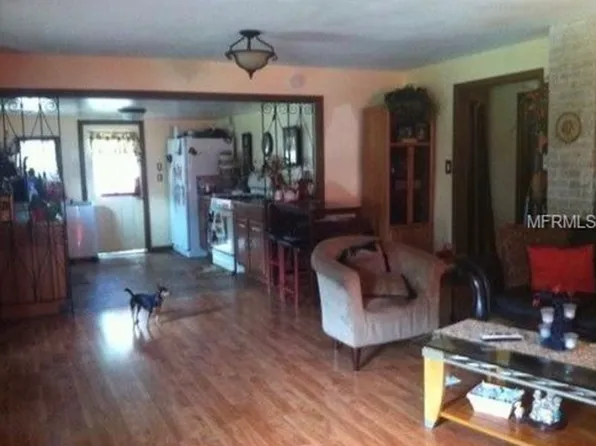 724 McKenzie St, Leesburg, FL 34748