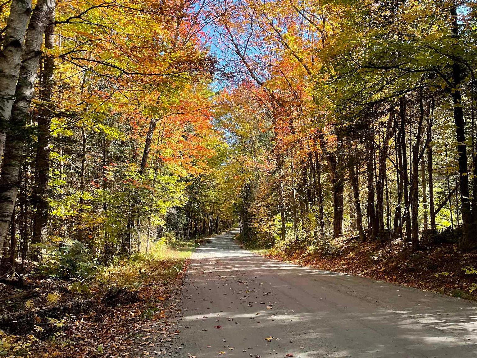 1010 Fellows Road, Guildhall, VT 05905 Zillow