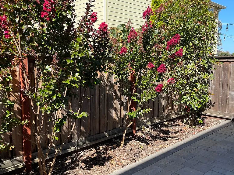 33509 Mustang St — Photo 32