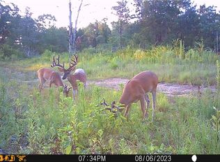 0 Highway 41, Cecil, AR 72930