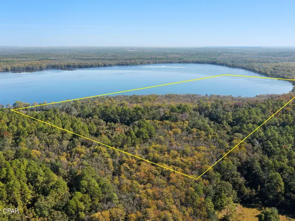 3199 Pate Pond Rd, Vernon, FL 32462