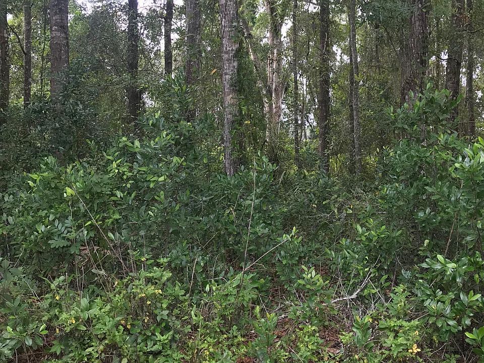 2nd image of 112 Old Shell Harbor Rd
