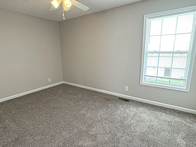 205 Tree Line Dr — Photo 19