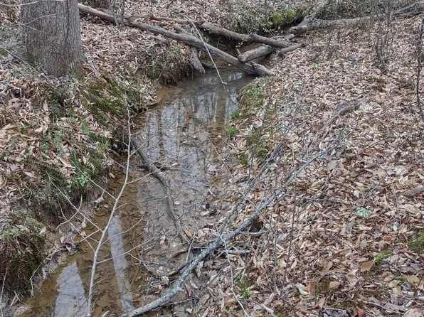 0 Highway 114 W Lot 1, Scotts Hill, TN 38374