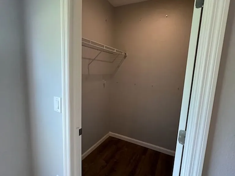 4528 Alligator Flag Cir — Photo 13