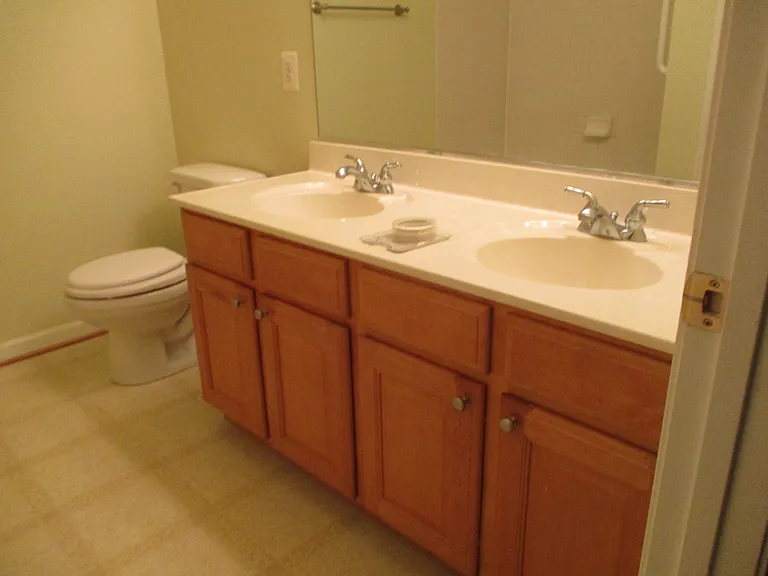 Owner's bathroom