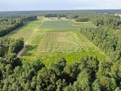 TBD Highway 308, Galivants Ferry, SC, 29544