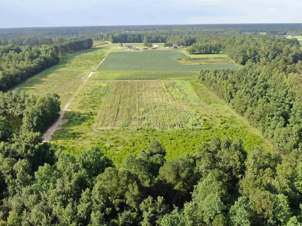 TBD Highway 308, Galivants Ferry, SC 29544