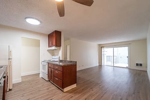 Euclid Apartments Photo 1