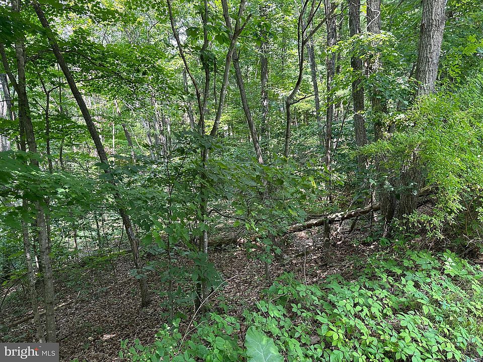 2nd image of 61 Elk Rd