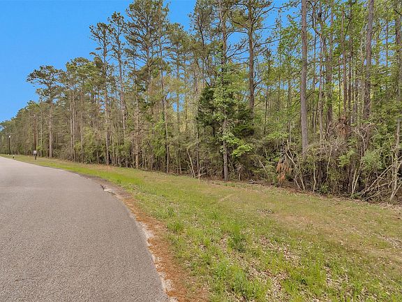 5th image of Cedar Lane Loop