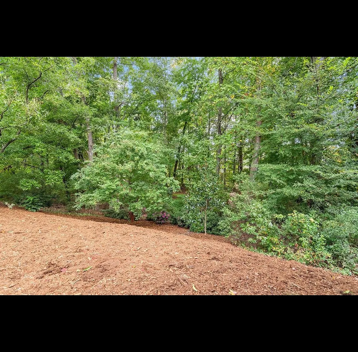 3 bed, 2749 sqft, $2,800 — Photo 4