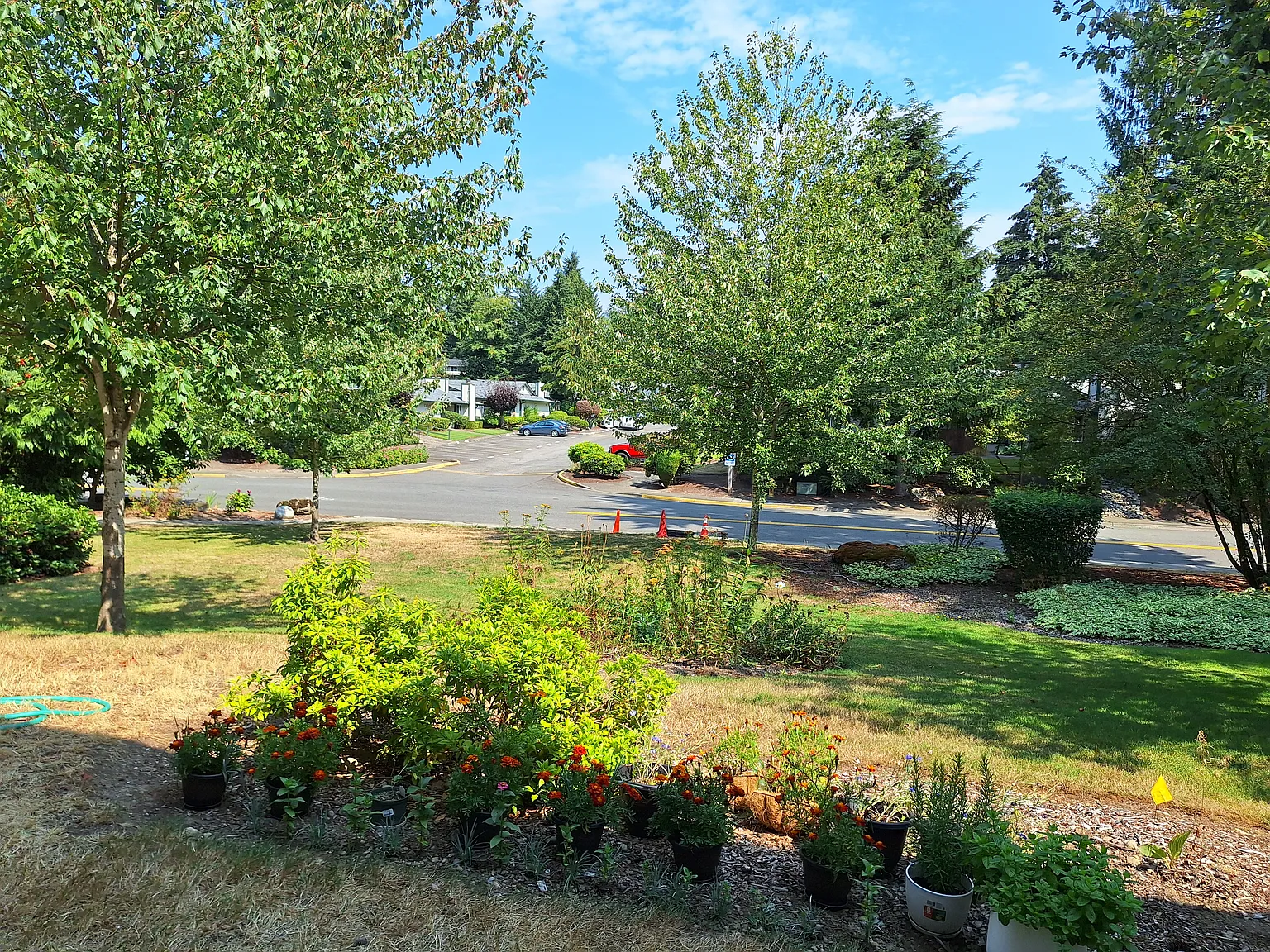 4th Pl S, Federal Way — Photo 4