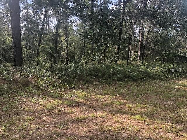 2nd image of 10153 N Ruth Ter