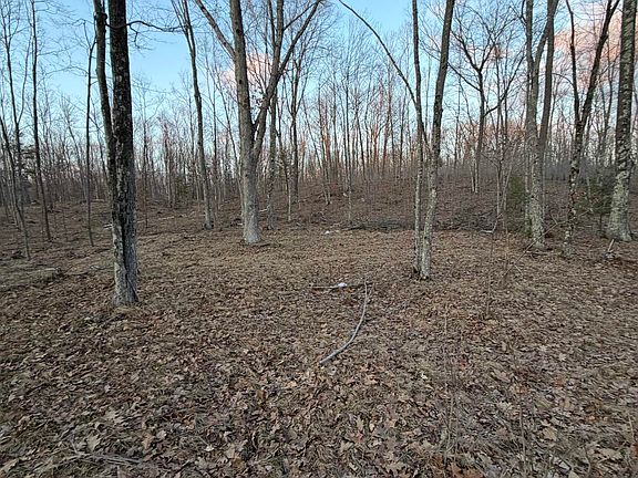 3rd image of 10 Rhett Ln