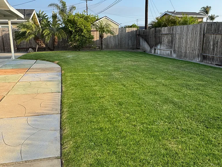 19361 Jerrilyn Ln — Photo 3