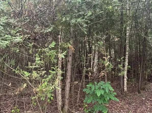 0 Lilac Rd, Kawartha Lakes, ON K9V 4R5