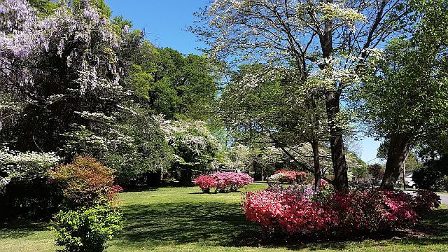 View from Oak Street