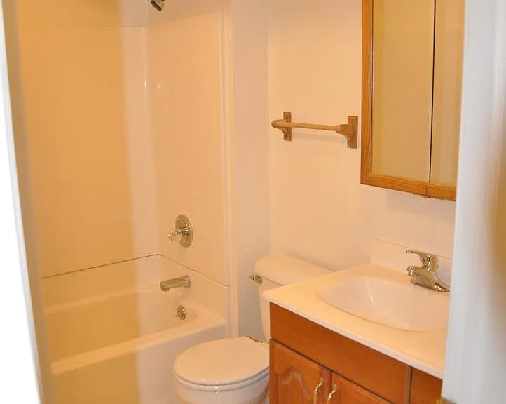 basement bathroom